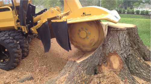 Tree Crown Reduction Oldham