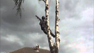 Tree Pruning Stockport
