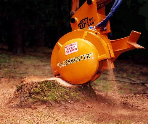 Tree Removal Bury